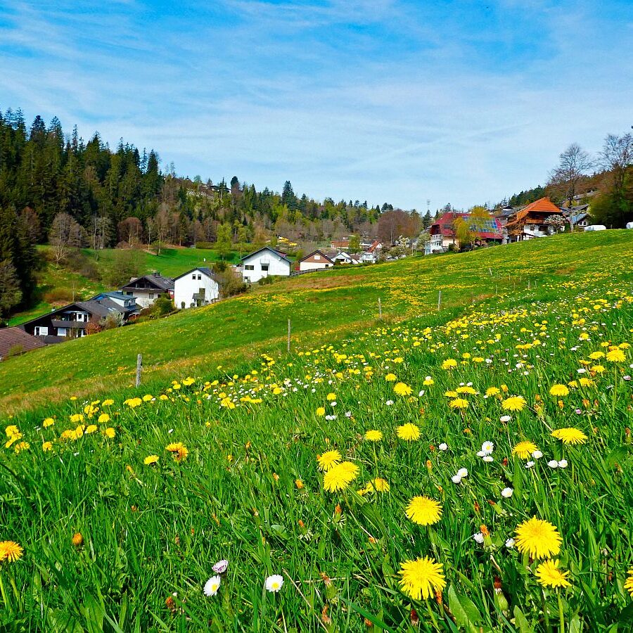 Ramsteinrunde im Frühling 04