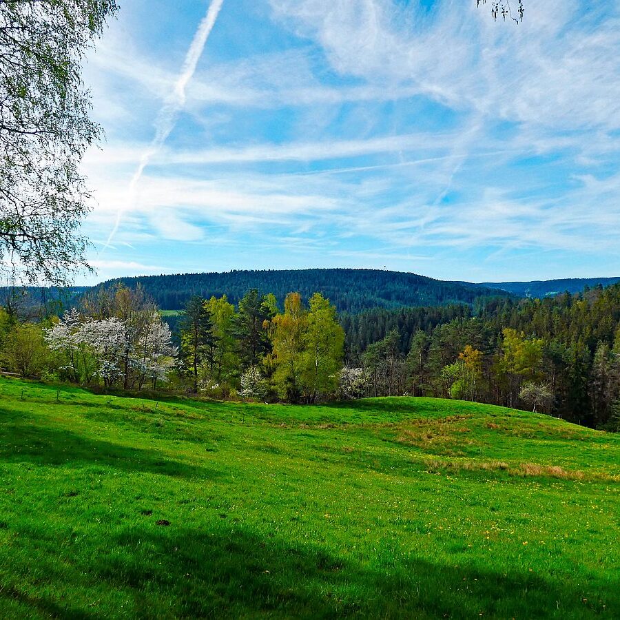 Ramsteinrunde im Frühling 05