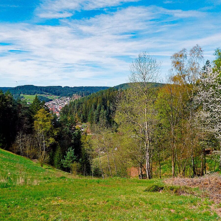 Ramsteinrunde im Frühling 06