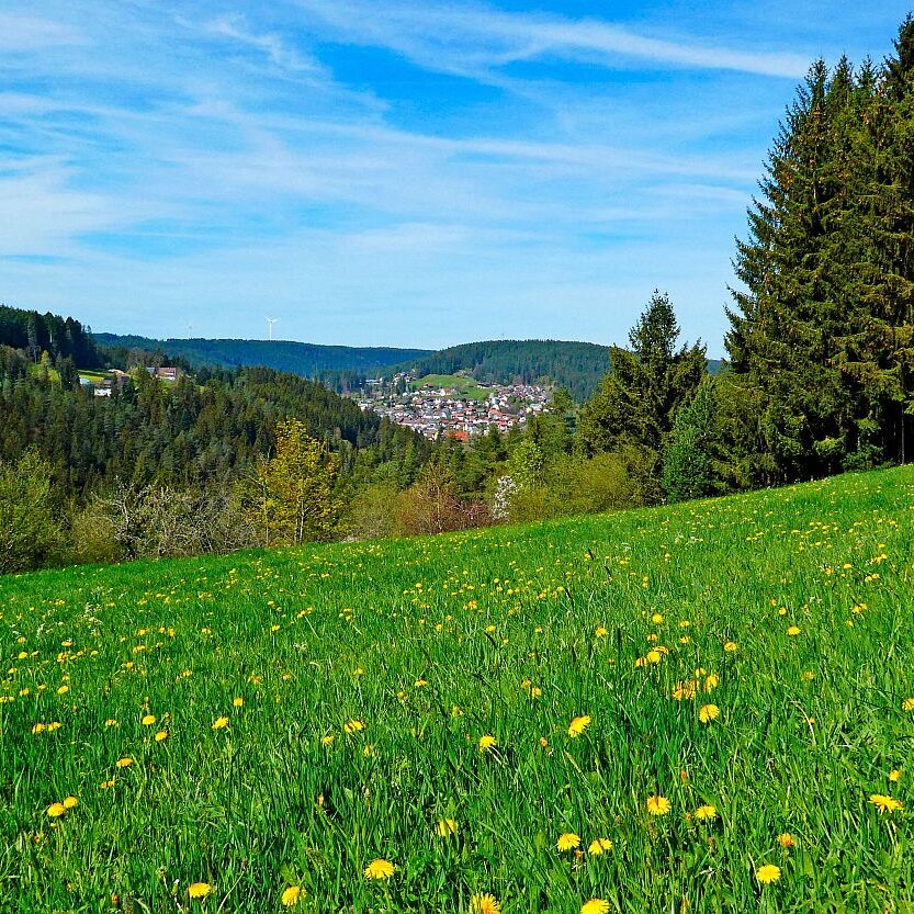 Ramsteinrunde im Frühling 08