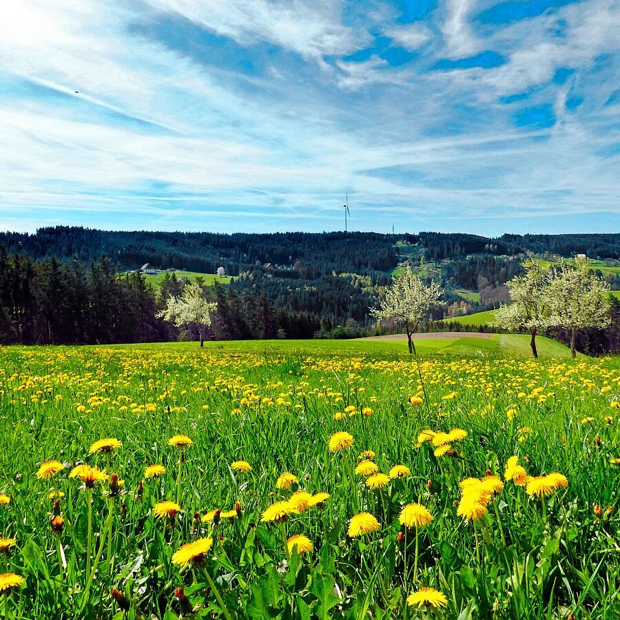 Ramsteinrunde im Frühling 11