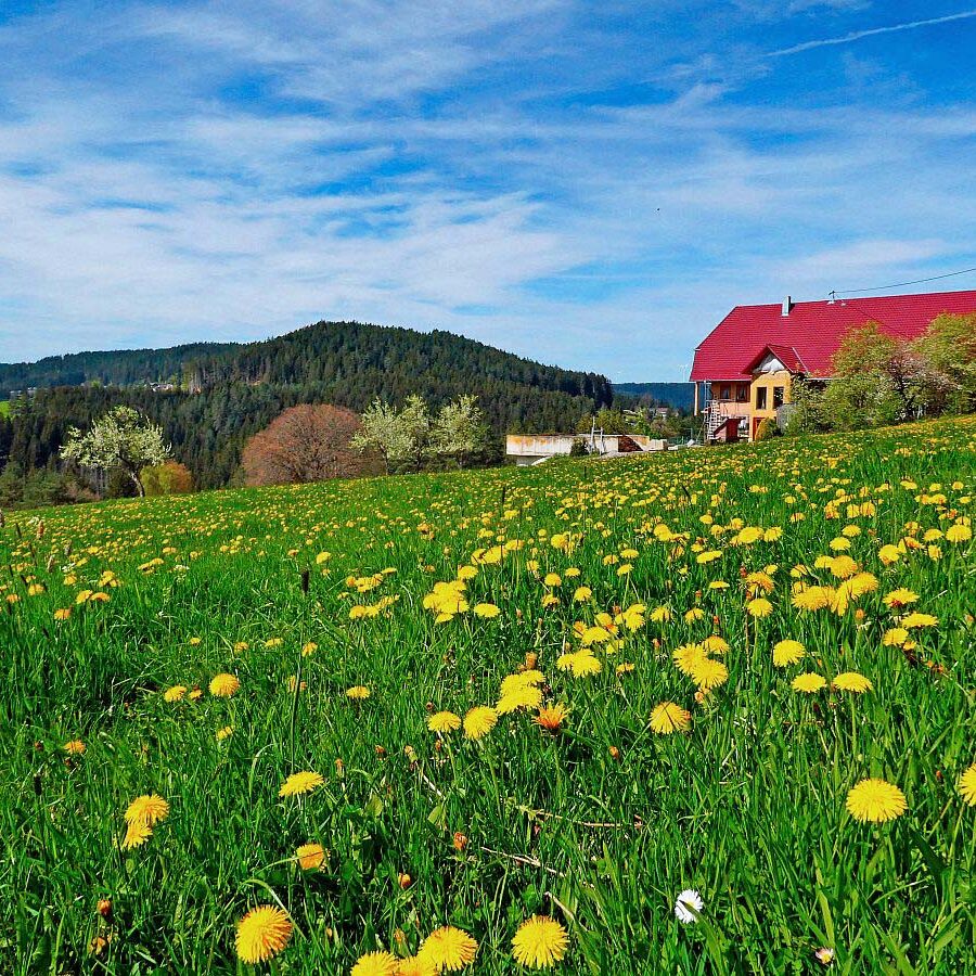 Ramsteinrunde im Frühling 13