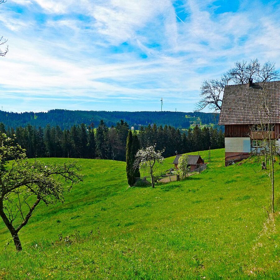 Ramsteinrunde im Frühling 15