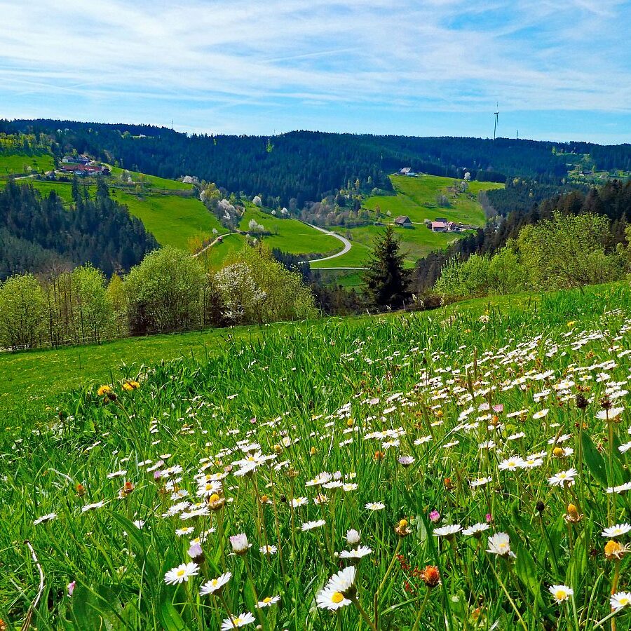 Ramsteinrunde im Frühling 16