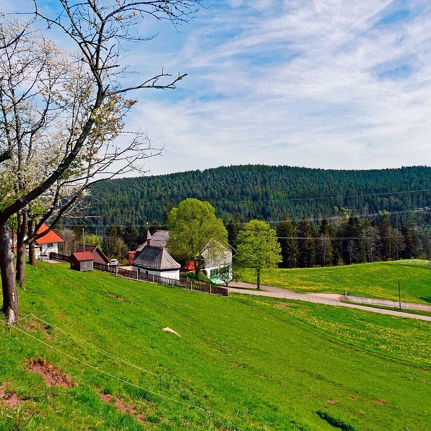 Ramsteinrunde im Frühling 17
