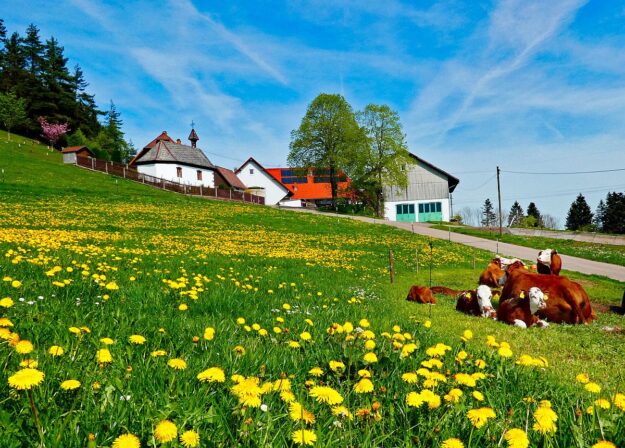 Ramsteinrunde im Frühling 21