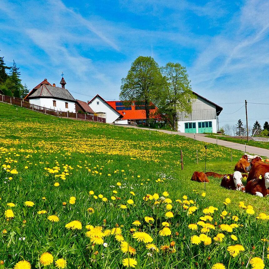 Ramsteinrunde im Frühling 21