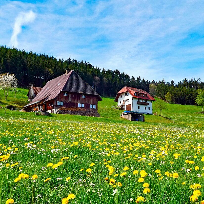 Ramsteinrunde im Frühling 25