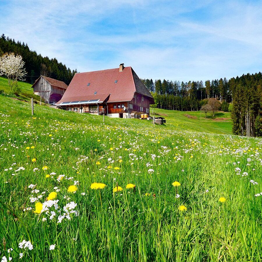 Ramsteinrunde im Frühling 27