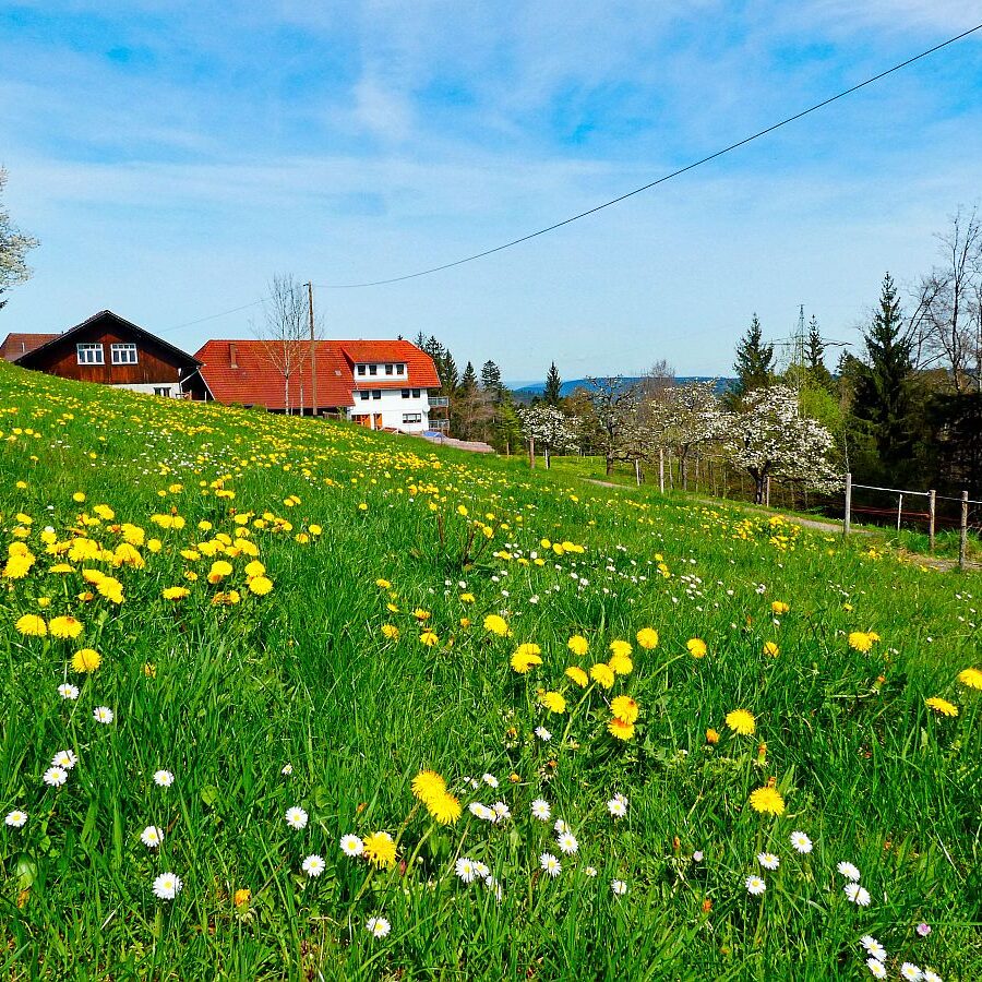 Ramsteinrunde im Frühling 30