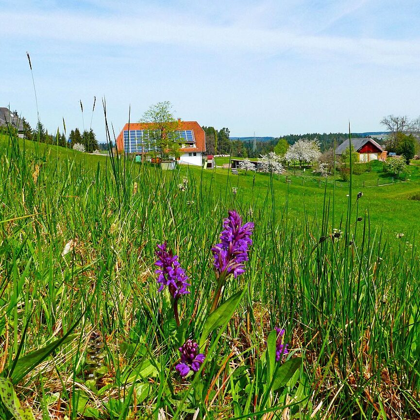 Ramsteinrunde im Frühling 33