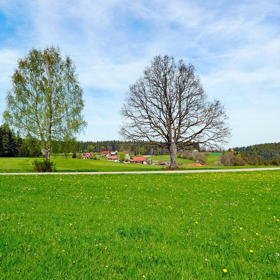 Ramsteinrunde im Frühling 37