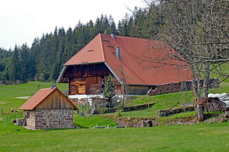 Schachenbronn Sommerberg Mooshof 03 Schachenbronn Sommerberg Mooshof 03