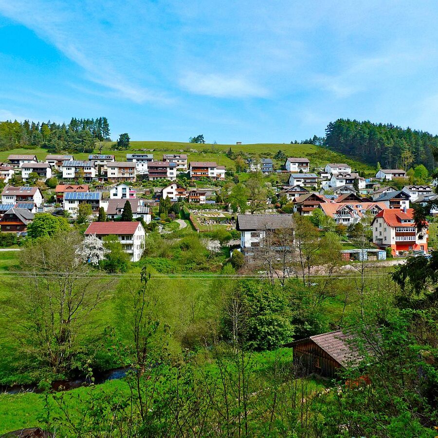 Mai Mittelberg Unterschiltach Siehdirchfür Buchenberg Hub 01