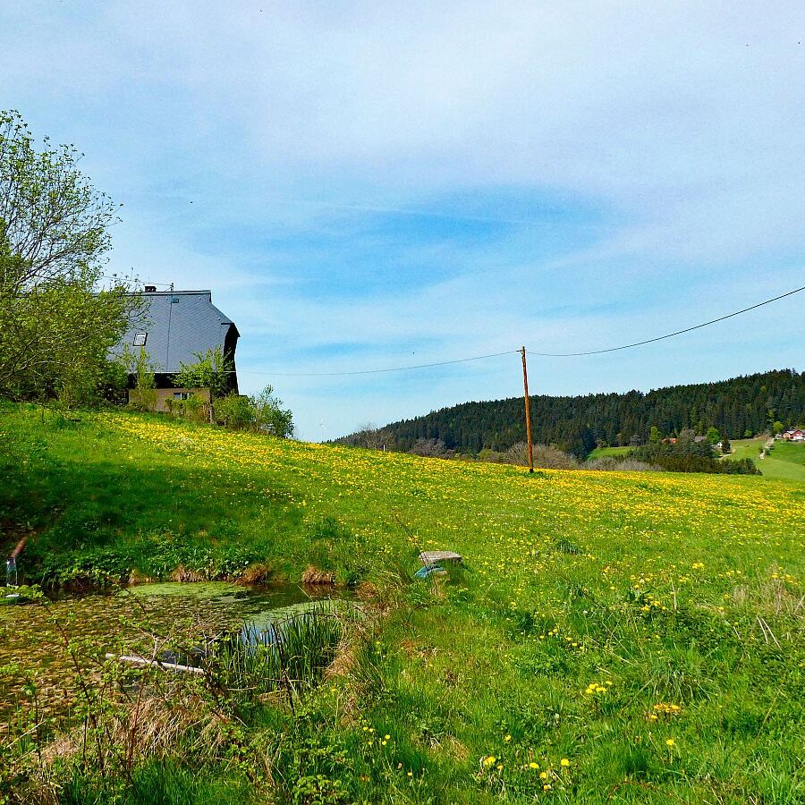 Mai Mittelberg Unterschiltach Siehdirchfür Buchenberg Hub 09