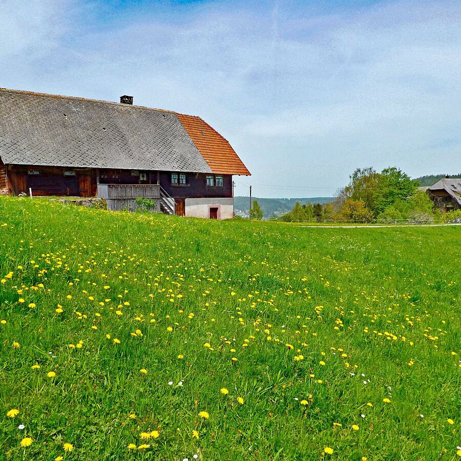 Mai Mittelberg Unterschiltach Siehdirchfür Buchenberg Hub 16