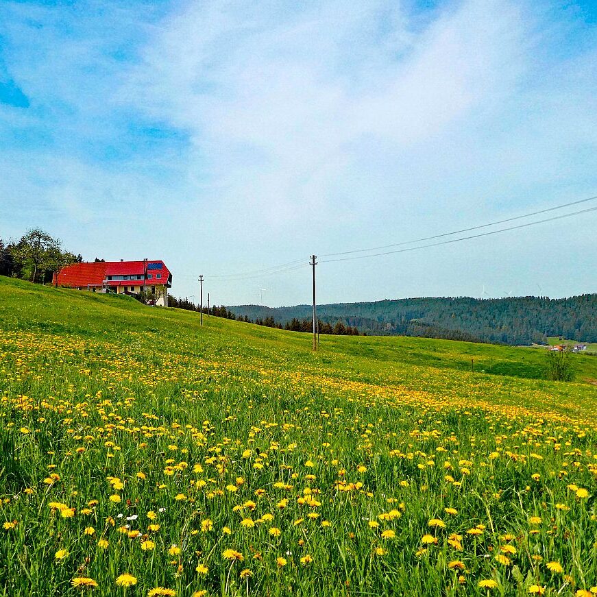 Mai Mittelberg Unterschiltach Siehdirchfür Buchenberg Hub 17