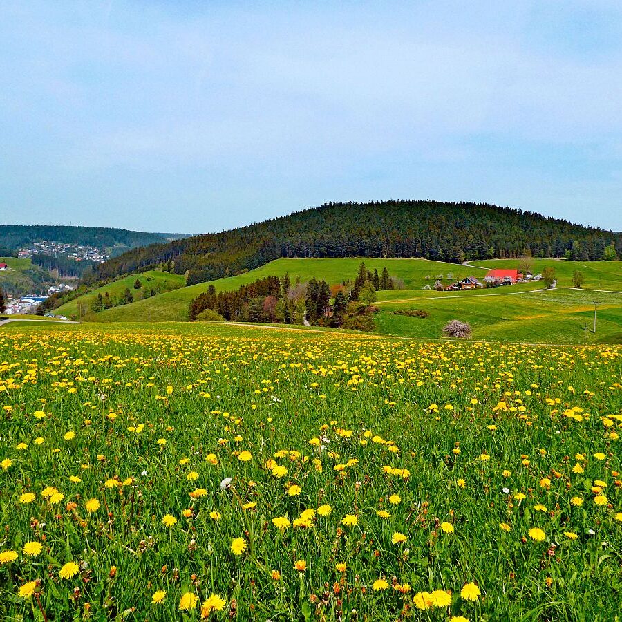 Mai Mittelberg Unterschiltach Siehdirchfür Buchenberg Hub 18