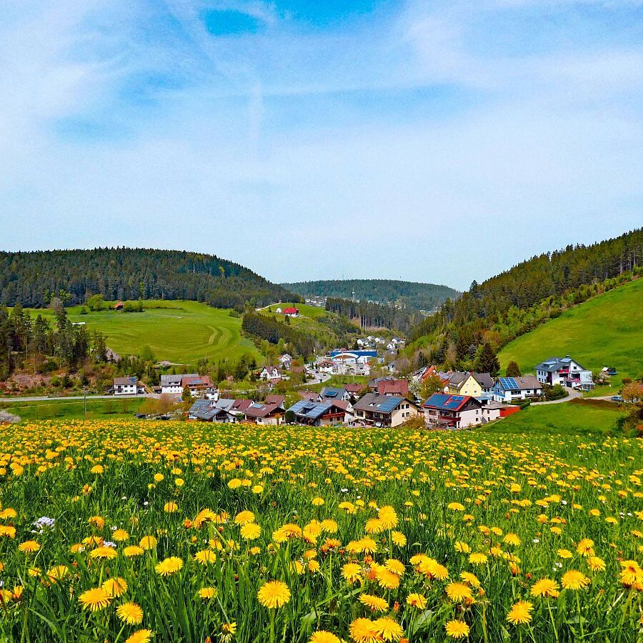 Mai Mittelberg Unterschiltach Siehdirchfür Buchenberg Hub 20