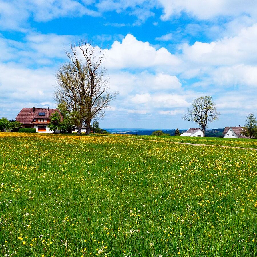 Tischneck Berneck 06