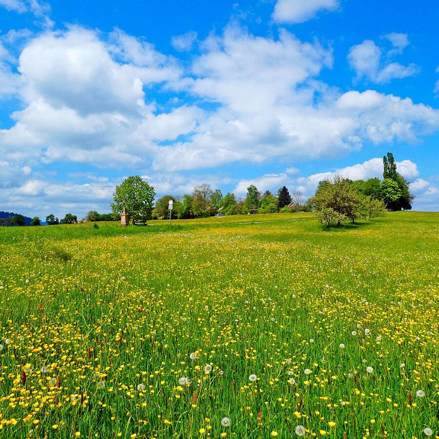 Tischneck Berneck 11