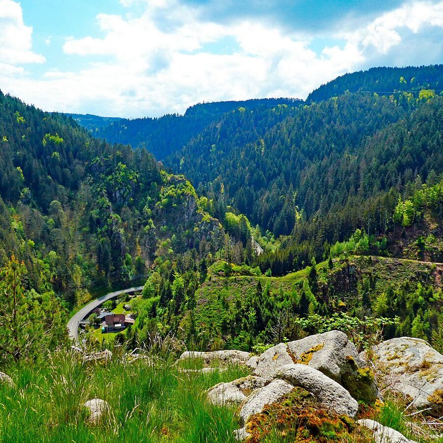 Tischneck Berneck 12