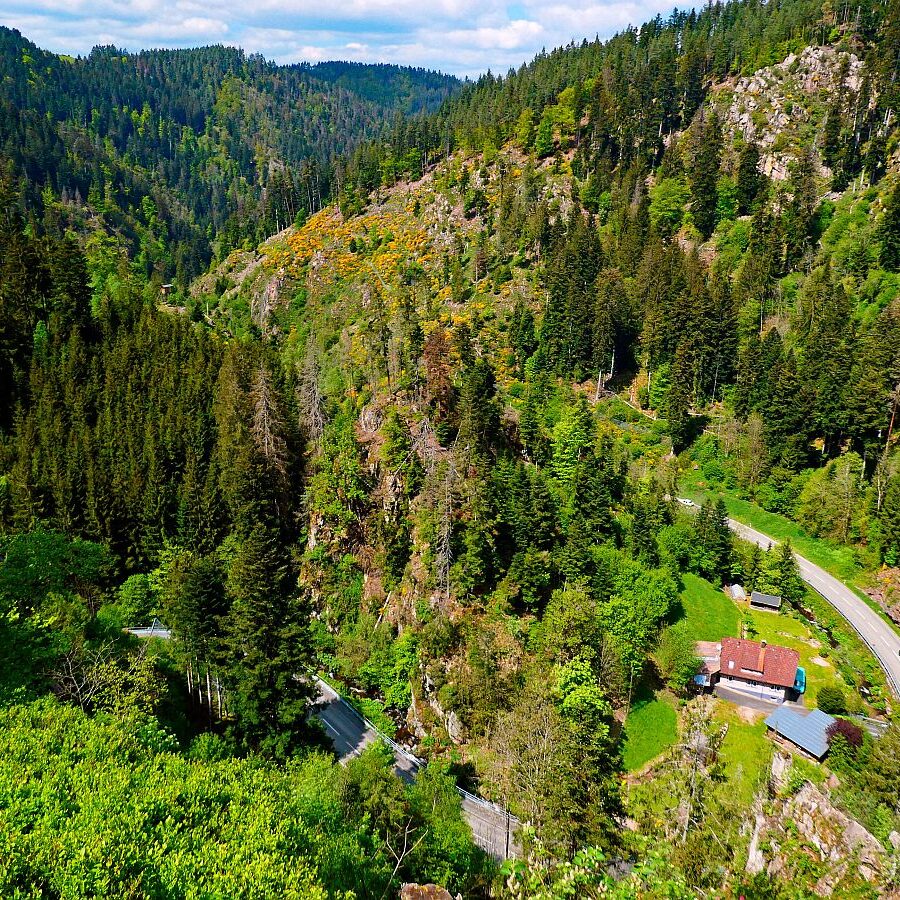 Tischneck Berneck 15