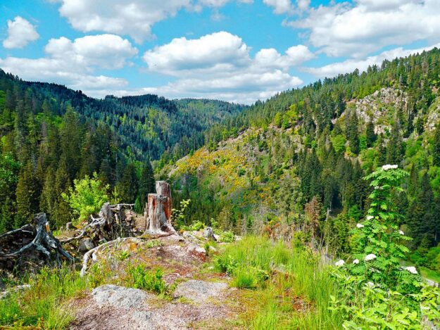 Tischneck Berneck 16