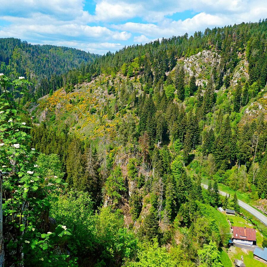 Tischneck Berneck 19