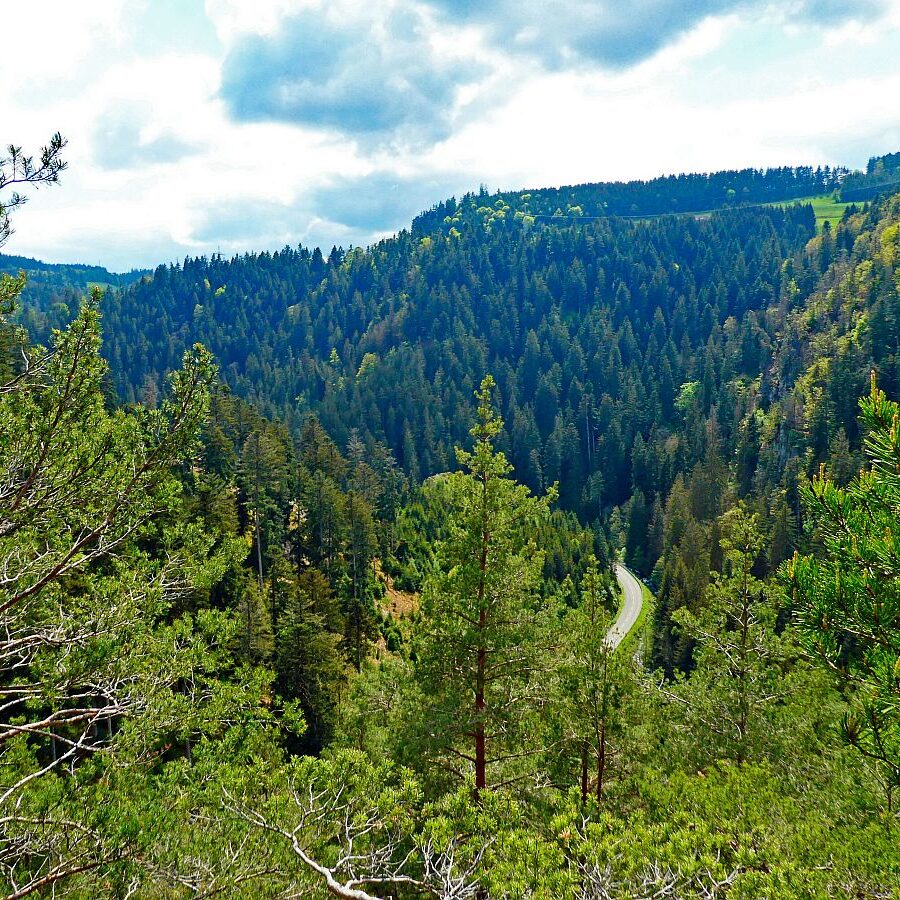 Tischneck Berneck 22