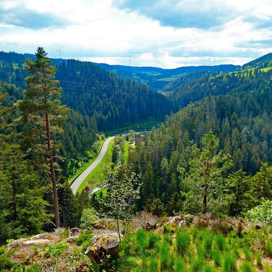 Tischneck Berneck 23