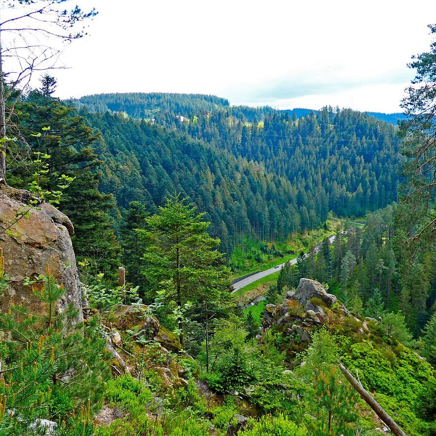 Tischneck Berneck 24