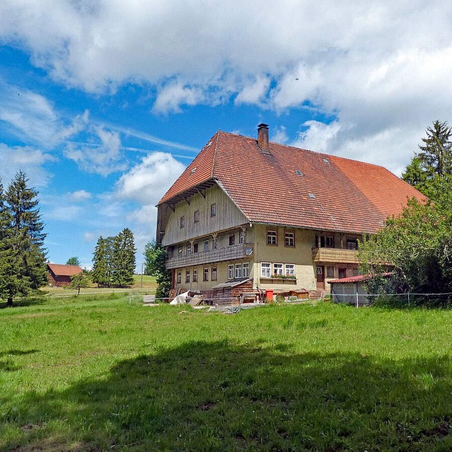 Auerhahnweg Tennenbronn 01