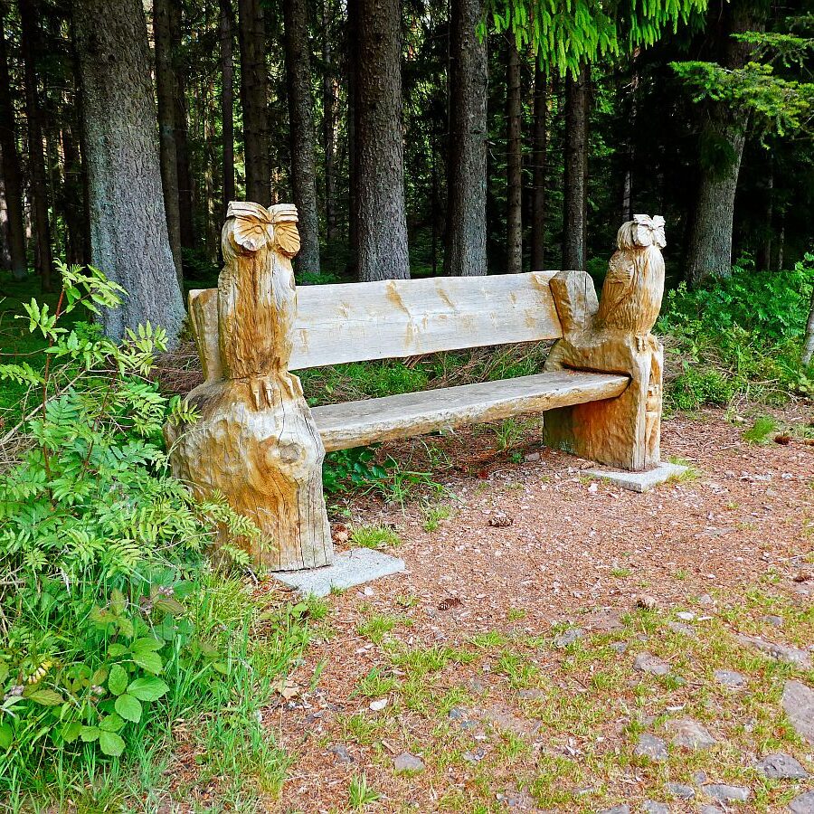 Auerhahnweg Tennenbronn 02