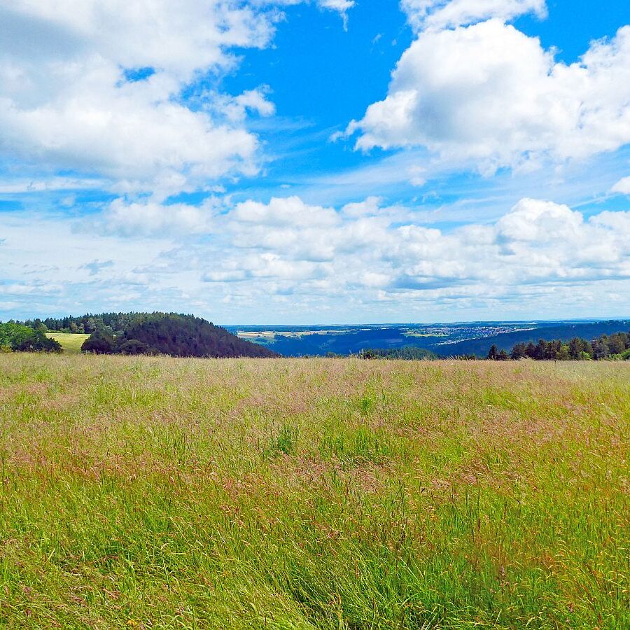 Auerhahnweg Tennenbronn 04