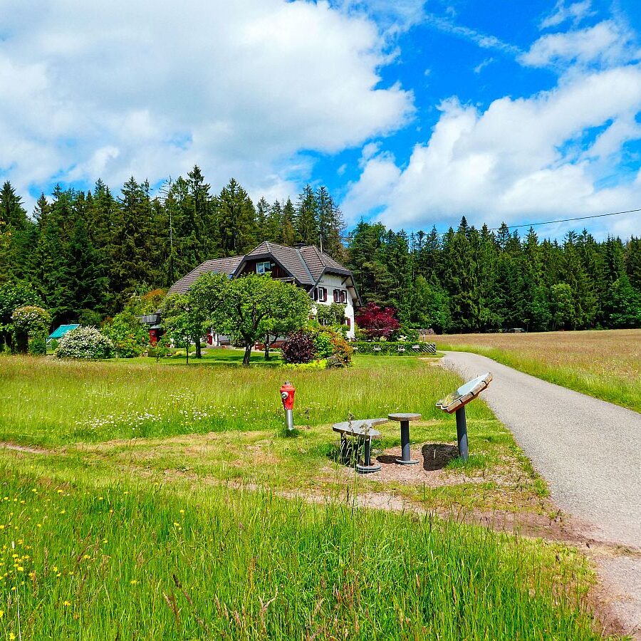 Auerhahnweg Tennenbronn 06