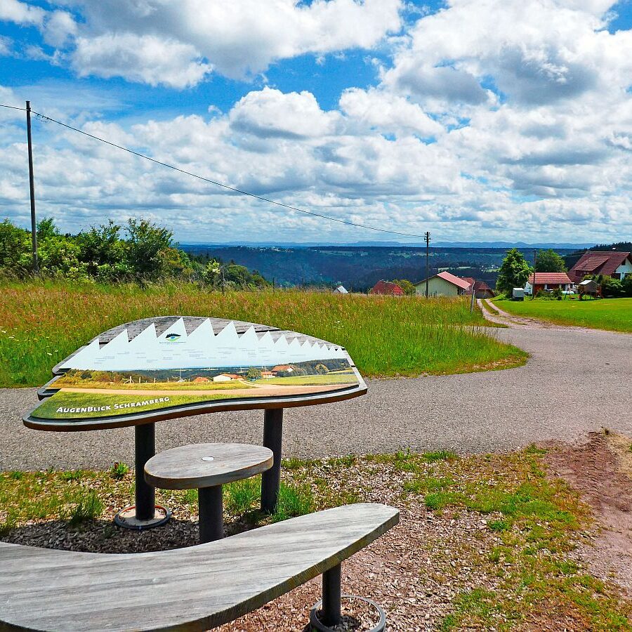 Auerhahnweg Tennenbronn 07