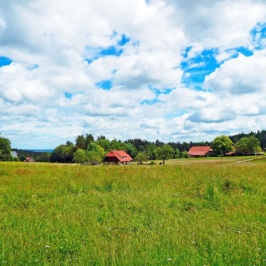 Auerhahnweg Tennenbronn 08