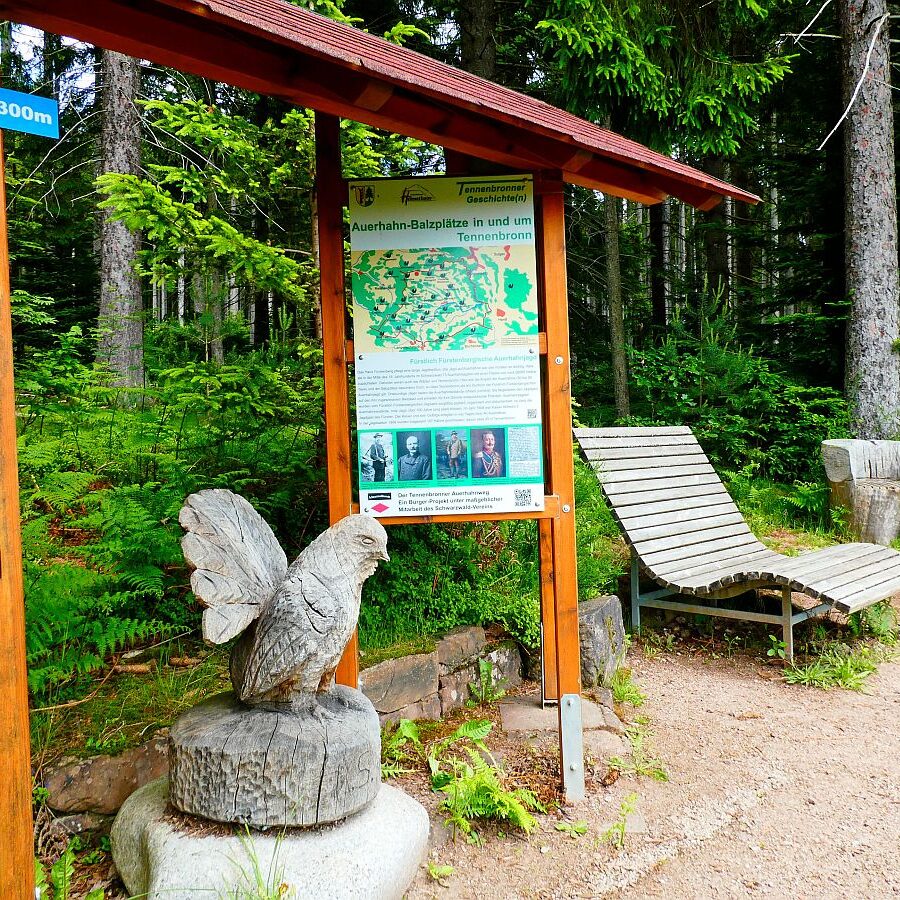 Auerhahnweg Tennenbronn 15
