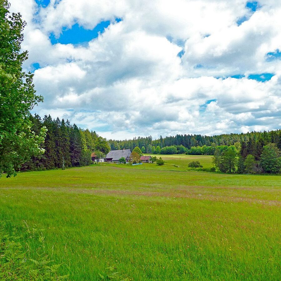 Auerhahnweg Tennenbronn 19