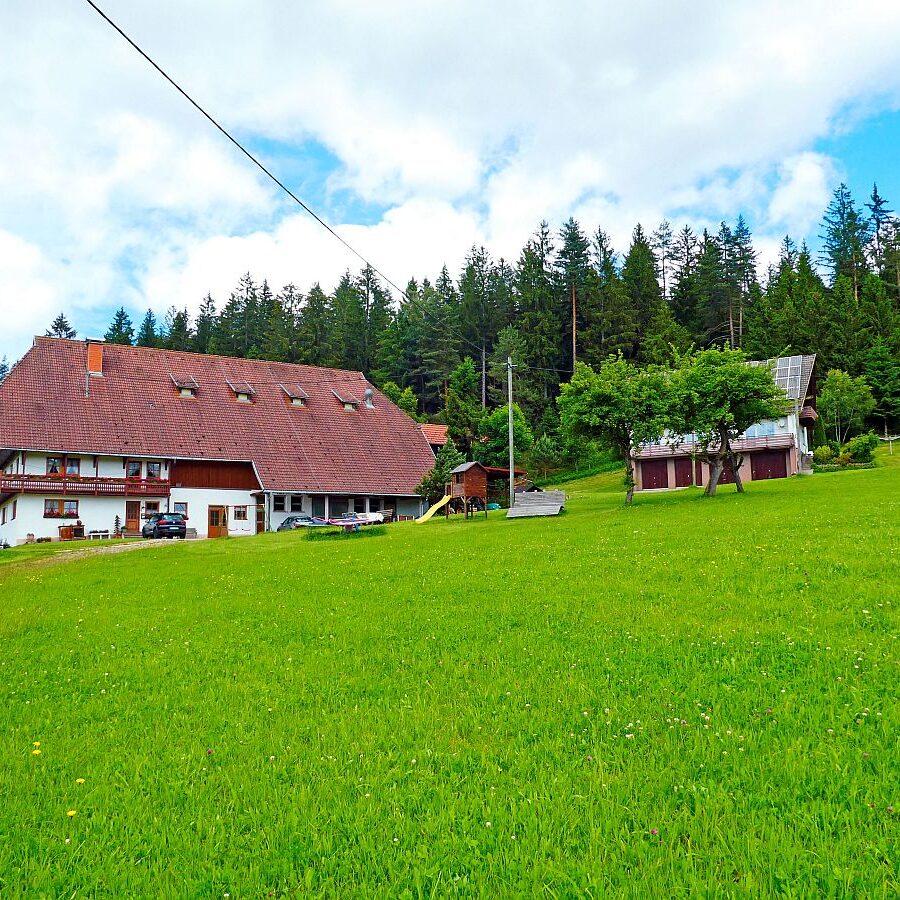 Auerhahnweg Tennenbronn 20