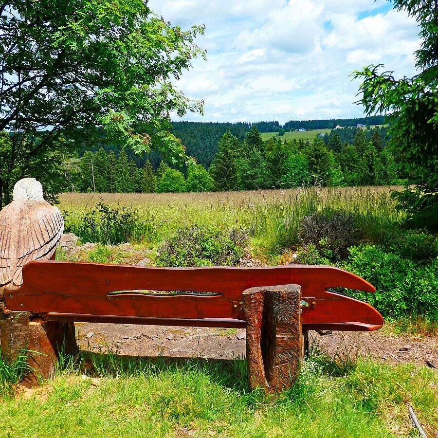 Auerhahnweg Tennenbronn 23