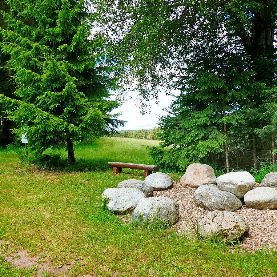 Auerhahnweg Tennenbronn 25