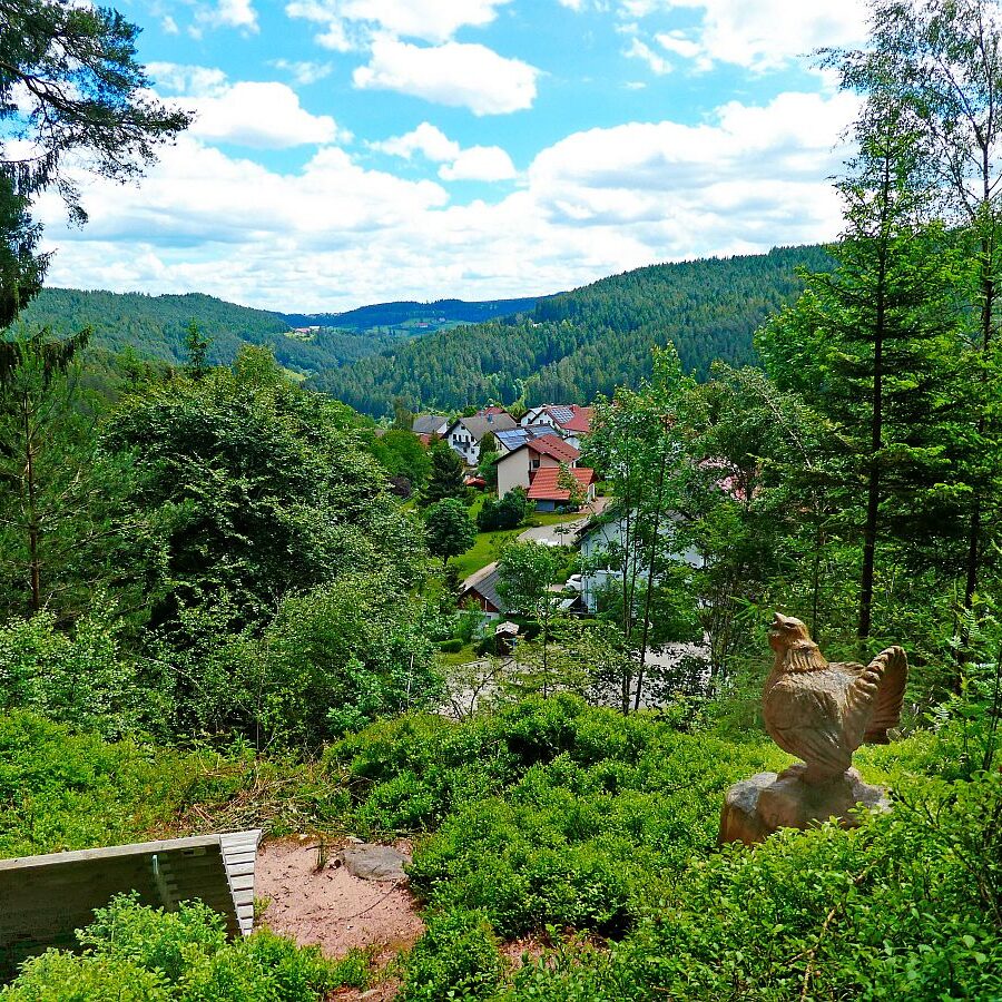 Auerhahnweg Tennenbronn 27