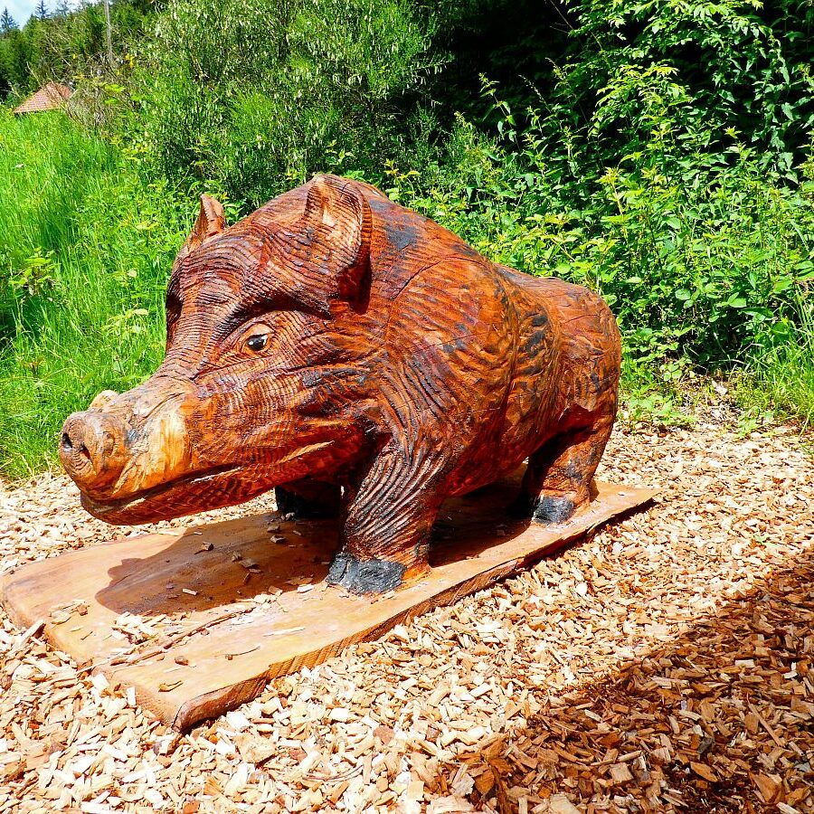 Auerhahnweg Tennenbronn 28