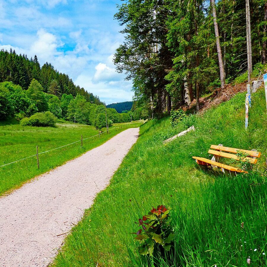 Auerhahnweg Tennenbronn 29
