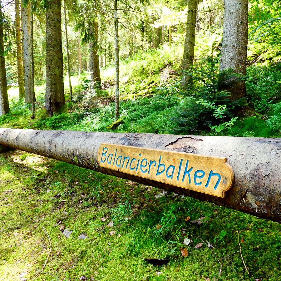 Auerhahnweg Tennenbronn 31