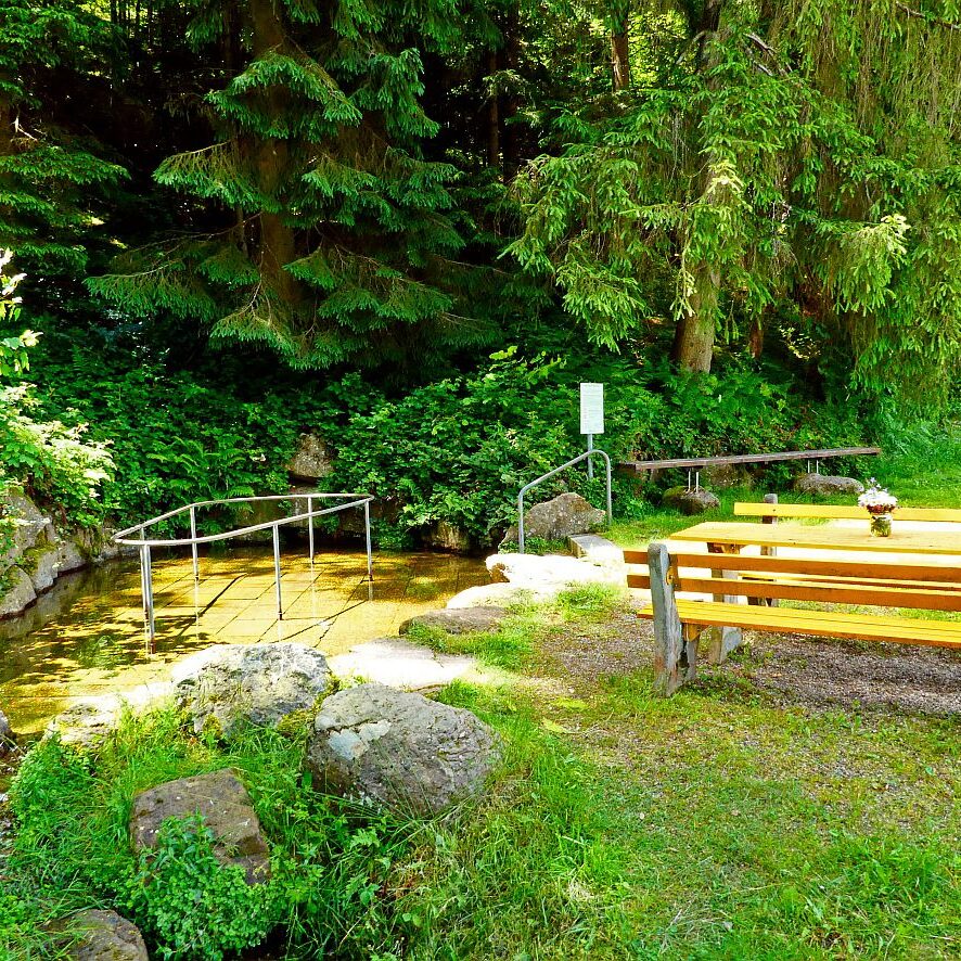 Auerhahnweg Tennenbronn 32