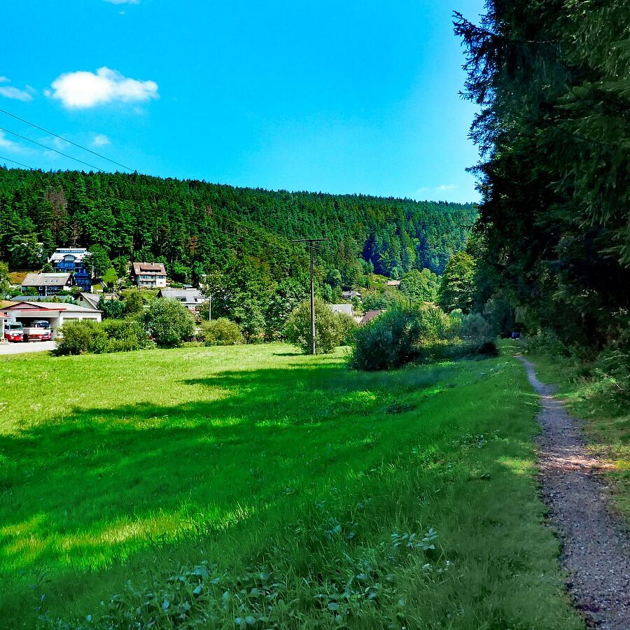 Dorfblickrunde Tennenbronn 16