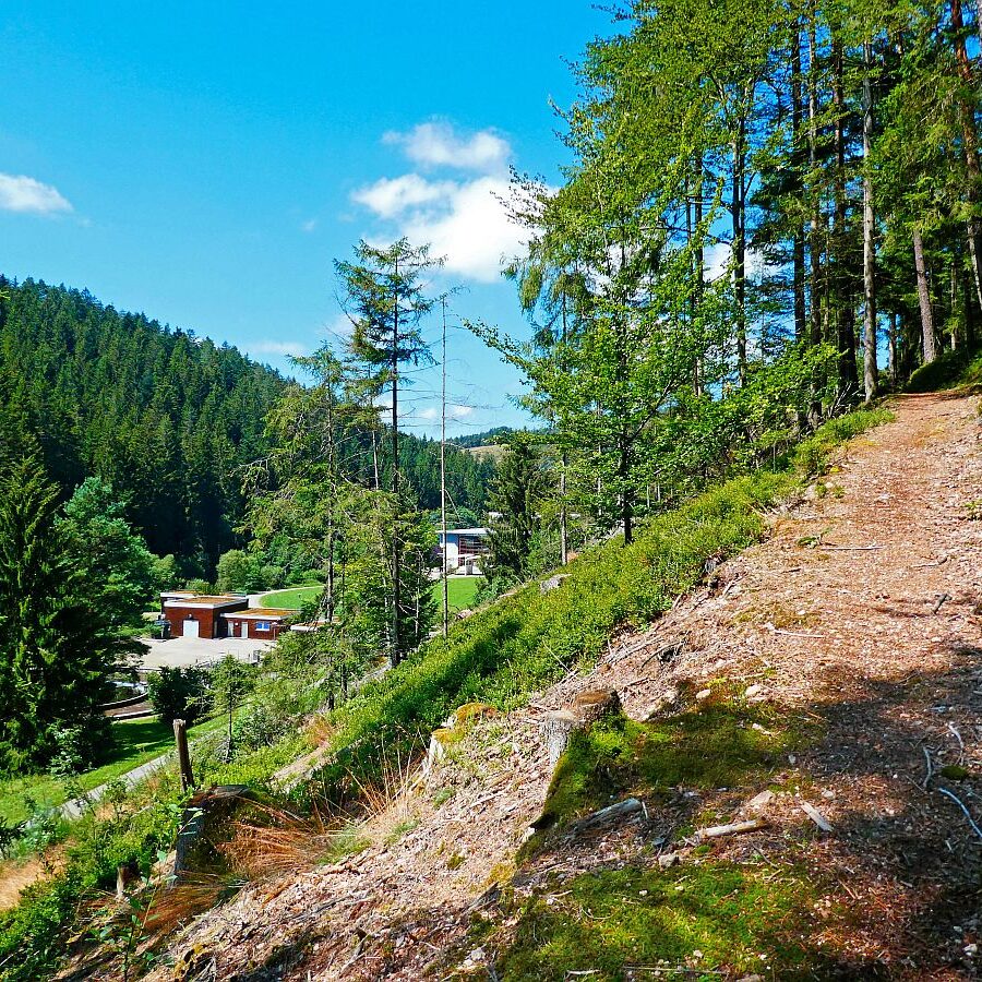 Dorfblickrunde Tennenbronn 23